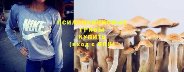 прущие крисы Абдулино