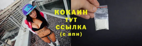 дмт Абаза