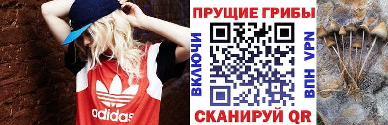 Псилоцибиновые грибы прущие грибы дарнет шоп KRAKEN ТОР Топки