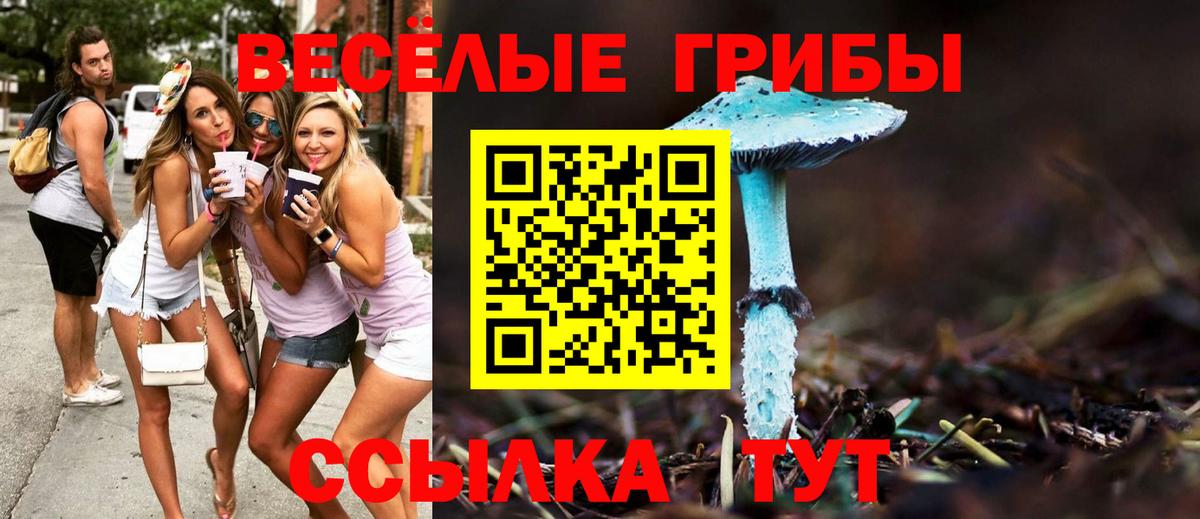 Псилоцибиновые грибы мухоморы  Вход с VPN  Псилоцибиновые грибы Psilocybe  как найти   Топки 